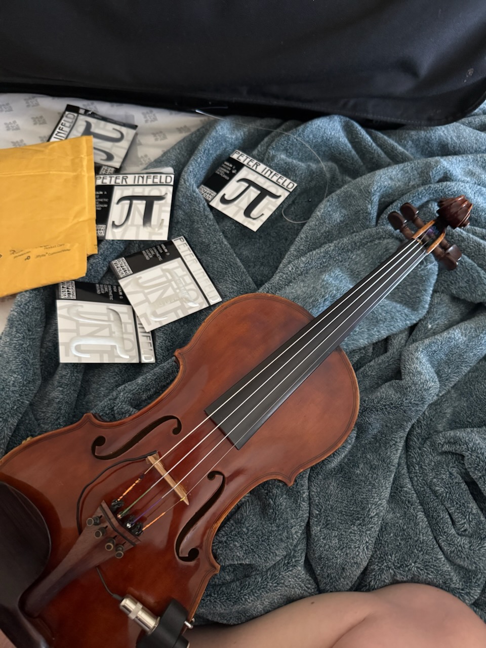 Beginner violin Houston—acoustic violin setup for first lessons